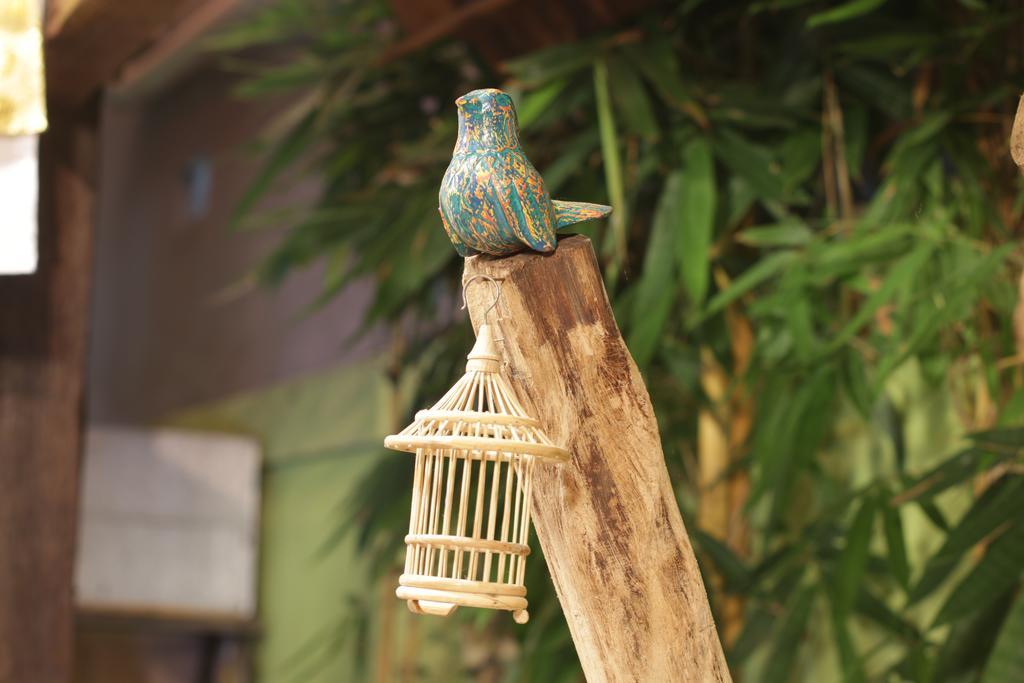 Green Bird Villa - Chse Certified Ubud Kültér fotó